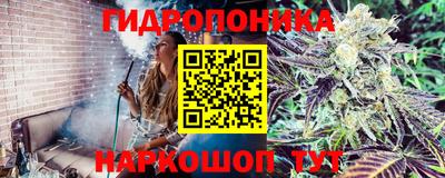 гашиш Кандалакша