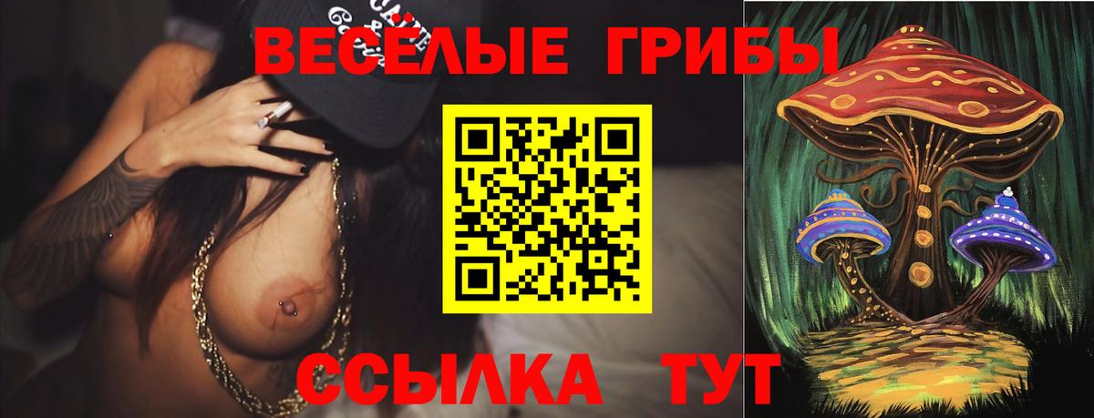 Галлюциногенные грибы Psilocybine cubensis  Галлюциногенные грибы Magic Shrooms  цена наркотик  Кандалакша  Вход с VPN 